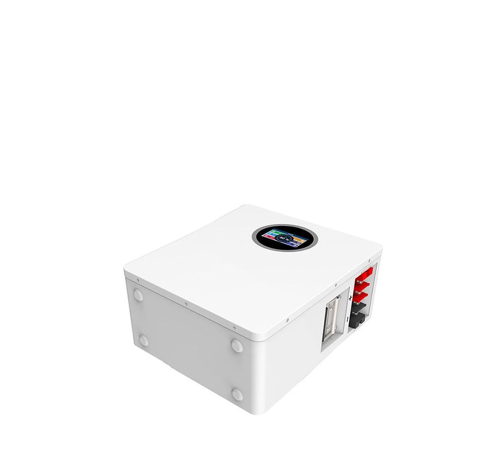 2.56kWh 25.6V 100Ah LiFePO4 Battery - FLX24100 - Image 4