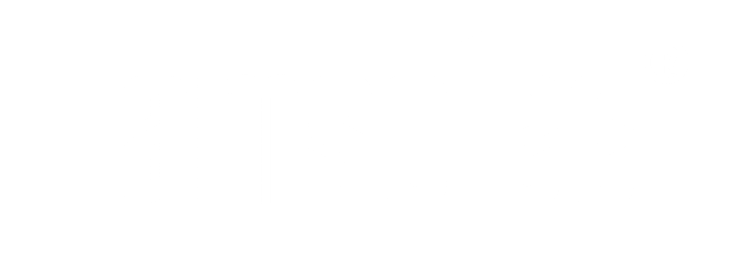 Tamsolec Ltd